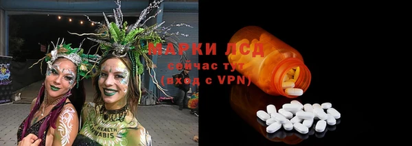 соль ск Горнозаводск