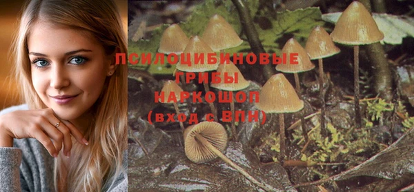 соль ск Горнозаводск
