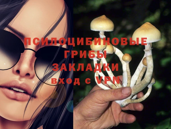 дмт Горняк