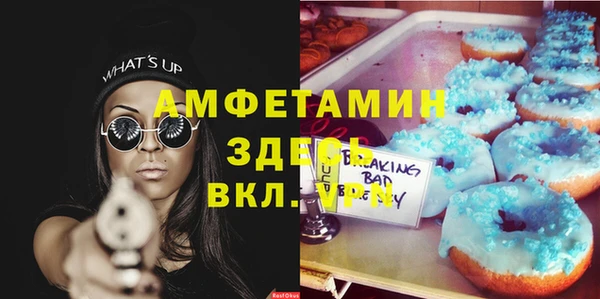 дмт Горняк