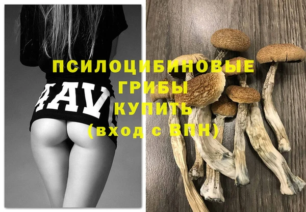 дмт Горняк