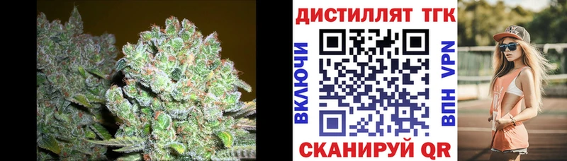 Купить закладки  Шахунья  ТГК вейп с тгк 