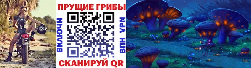 Купить где  Шахунья  Псилоцибиновые грибы ЛСД 
